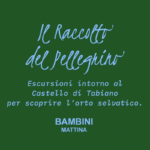 Il raccolto del Pellegrino – BAMBINI (mattina)