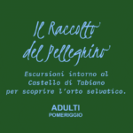 Il raccolto del Pellegrino – ADULTI (pomeriggio)
