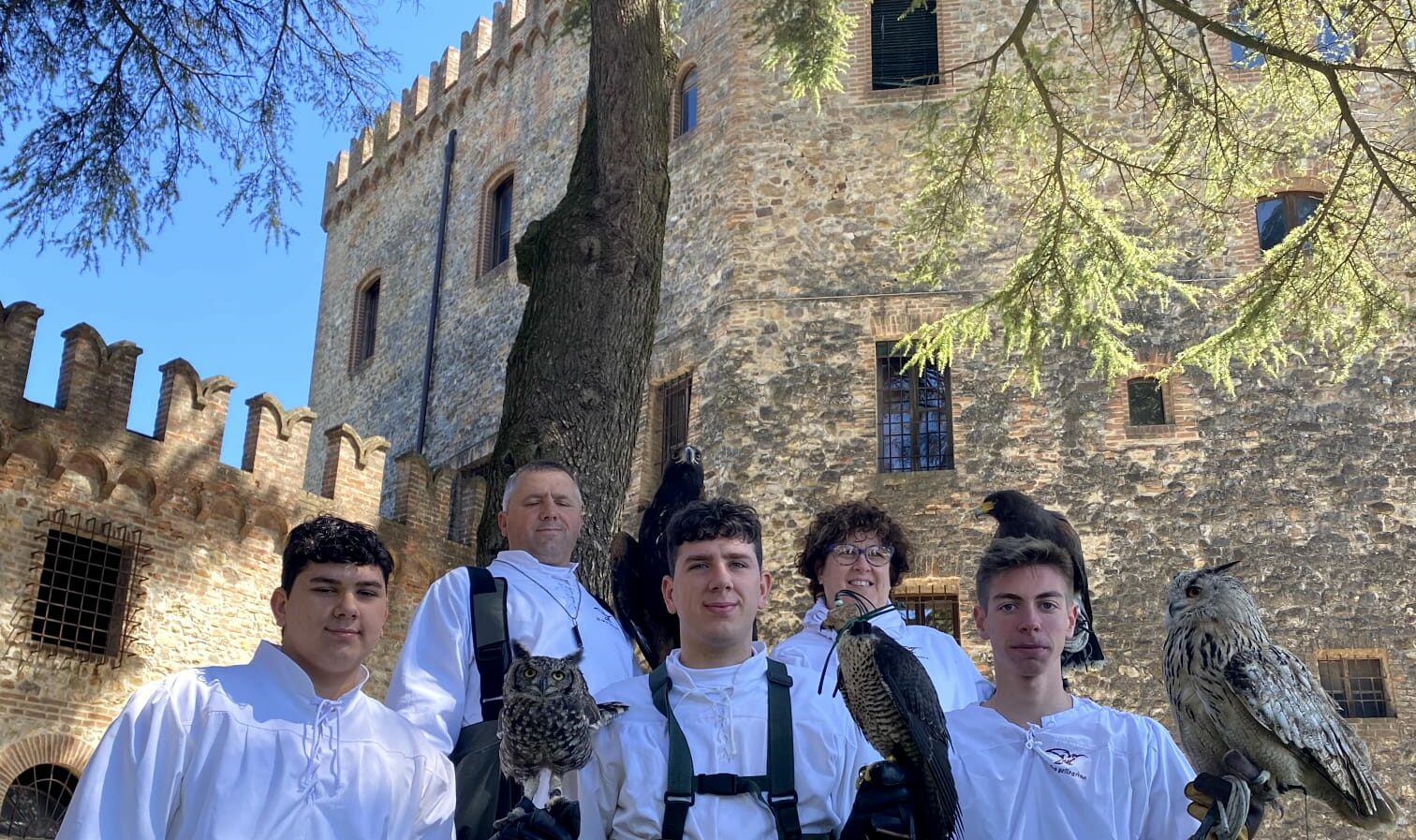 Visita guidata più spettacolo di falconeria